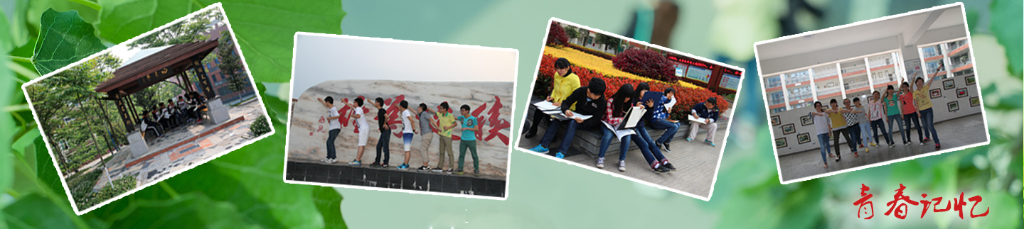 咨询绵阳中学实验学校自主招生考试-图片1